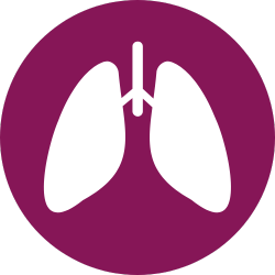 Icone du système respiratoire - Naturopathie et Aromathérapie