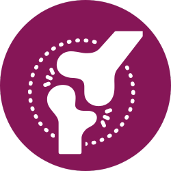 Icone du système locomoteur - Naturopathie et Aromathérapie