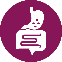 Icone du système digestif - Naturopathie et Aromathérapie