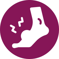 Icone du système circulatoire - Naturopathie et Aromathérapie