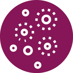 Icone du système cutané - Naturopathie et Aromathérapie