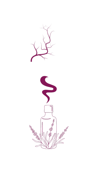 Illustration des huiles essentielles concernant le Système Circulatoire