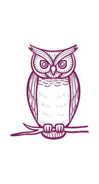 Consultations au sujet des huiles essentielles - aromathérapie