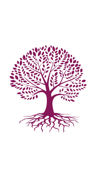 Illustration des Formations en aromathérapie